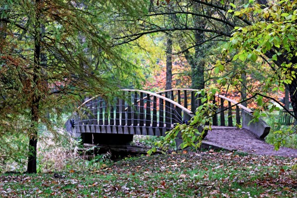 Quaint Bridge Over Creek by Deb Oppermann